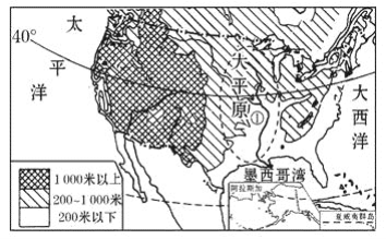 纽约试人口_人口普查(3)