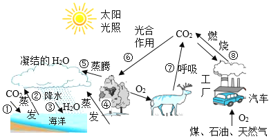 下图表示自然界中存在的三大循环