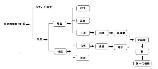 你已经学过被子植物的开花结果一定记得花的结构及其在生殖中的作用请