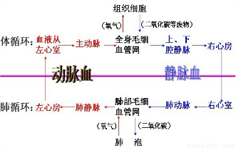 SYS201411171658454805286669_DA.001.png