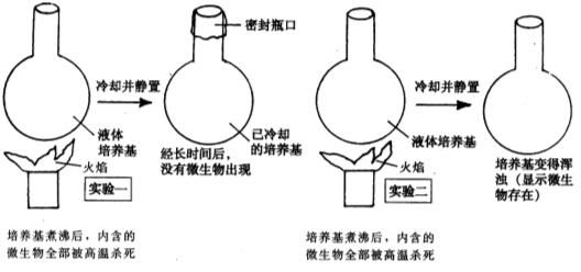 他用適合微生物生長的液體培養基進行以下實驗.