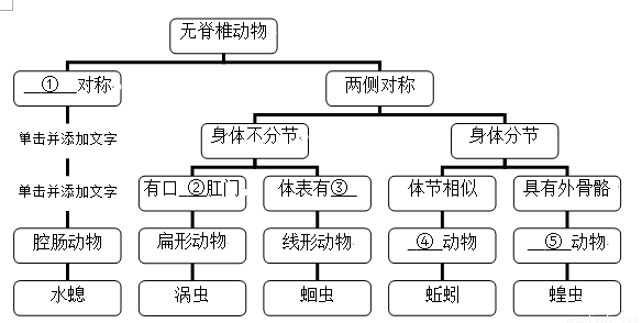 如图是对部分无脊椎动物分类的概念图,请用相应的文字补充完善