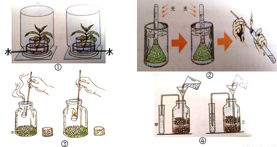 如图所示是进行有关生物实验的示意图实验结果能说明光合作用需要吸收