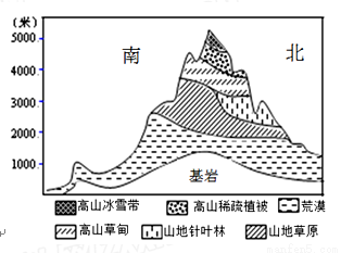 植物带分布图简图图片