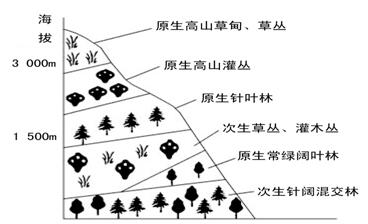 下图为某山脉山坡的垂直植被分布图 据此完成下列各题1