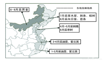 高低高人口增长公式_三阶魔方公式