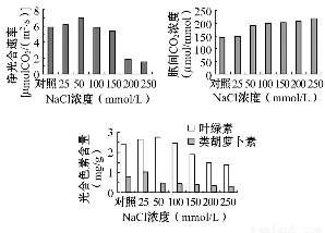 亲核蛋白进入细胞核的供gdp_最亲的人简谱