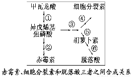 农业人口迁入调查表_人口调查表模板(2)