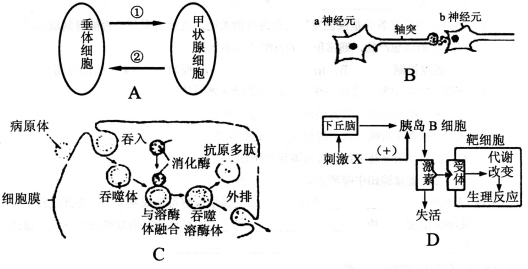 SYS201507230602246725292100_ST.001.jpeg