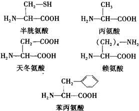 天冬氨酸化学结构式图片