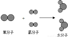 images2.png