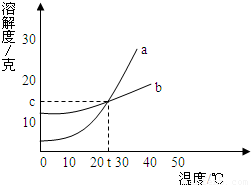 停止使用抗生素体温升高属于什么原理