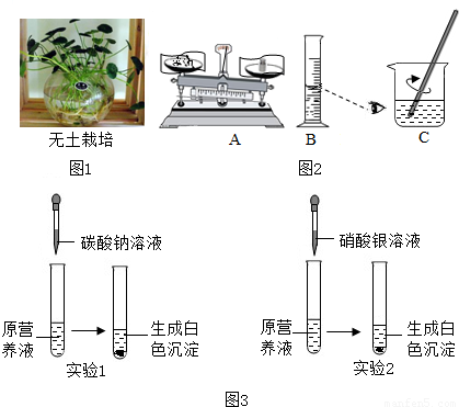 无土栽培是利用营养液栽培作物的一种方法(如图1)