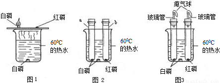 b試管中紅磷沒有燃燒.b試管中紅磷.熱水中白磷都沒有燃燒的原