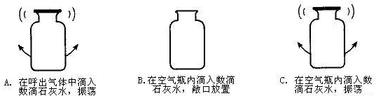 某同学向盛满呼出气体的集气瓶内滴入数滴澄清的石灰水振荡(如下图a)