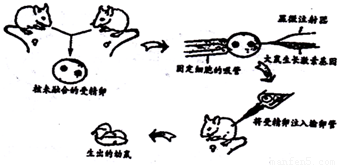 image001.png