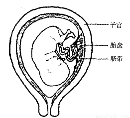 image001.png