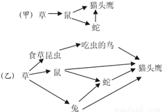 关于欧洲人口的叙述错误的是_欧洲地图