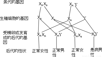 血友病是一种x染色体上隐性基因控制的遗传病现有一对表现型均正常的