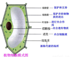 image001.png