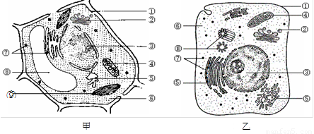 image001.png