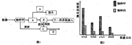 生物入侵可以提高生物的多样性,有利于维持生态系统的稳定