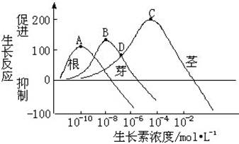 (根,芽,茎)对生长素反应最敏感