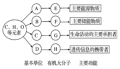 image001.png