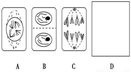 image001.png