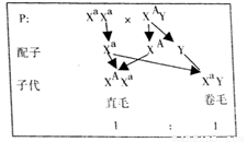 image001.png