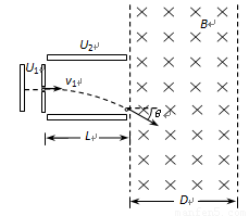 image001.png