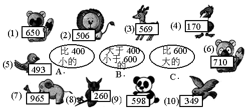 给动物分组是