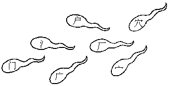 Image19297.gif