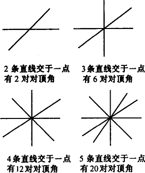 题型:044 通过阅读分析上面的材料,计算后得出规律,当n条直线相交于一