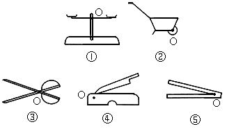 解:②,④為省力槓桿;①為等臂槓桿;③,⑤為費力槓桿.解析:答案:略