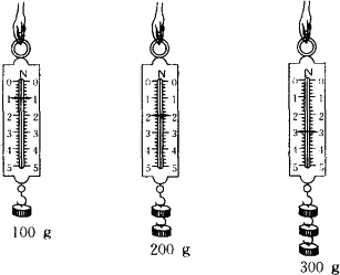 1如图所示把不同质量的钩码依次挂在弹簧测力计上分别读出它们的大小