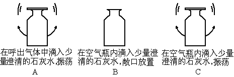 某同学向盛满呼出气体的集气瓶内滴入少量澄清的石灰水.振荡(如图a.