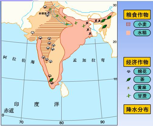 印度棉花分布图图片