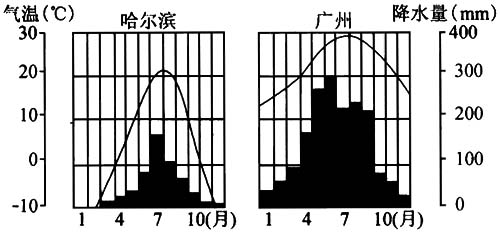 哈尔滨气温降水柱状图图片