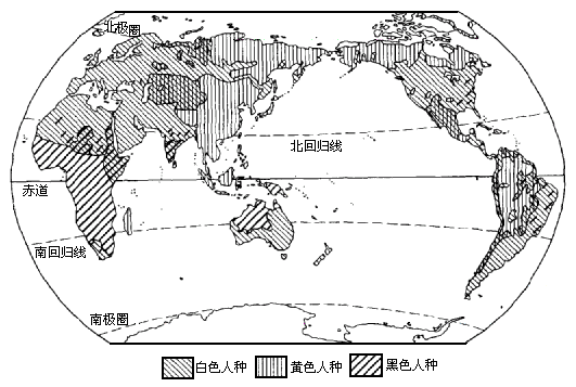 四大人种分布图图片