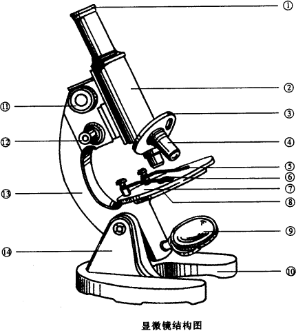 生物显微镜结构示意图图片