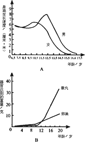 图b表示睾丸和卵巢的发育趋势