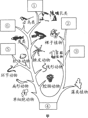 扁形动物线形动物