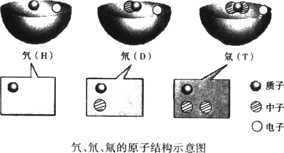 科学家们发现有三种原子:氕(pi5,氘(d1o,氚(chu1n,它们的原子结构