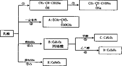 乳酸循环图图片