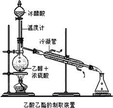 光催化通气体参与反应怎么搭装置_光催化反应装置示意图(2)