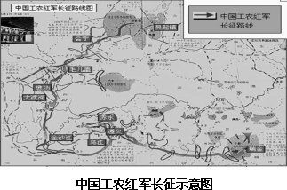 Image1.gif