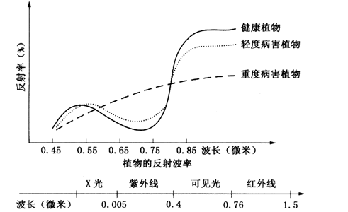 光谱反射率曲线示意图图片