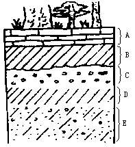 土层剖面图图例图片