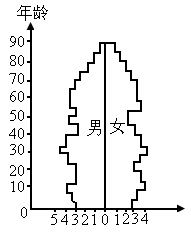 人口塔形图_人口普查(2)